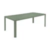 Table De Jardin 10 Personnes FERMOB Oléron 205 X 100 Cm - Cactus 2 Table De Jardin 10 Personnes FERMOB Oléron 205 X 100 Cm - Cactus -Fermob oleron table 205x100 cactus