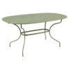 Table De Jardin Ovale 6 Personnes FERMOB Opéra + 160 X 90 Cm - Cactus 1 Table De Jardin Ovale 6 Personnes FERMOB Opéra + 160 X 90 Cm - Cactus -Fermob opera premium 160x90 cactus 1
